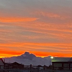 Meet your Posher, Taryn